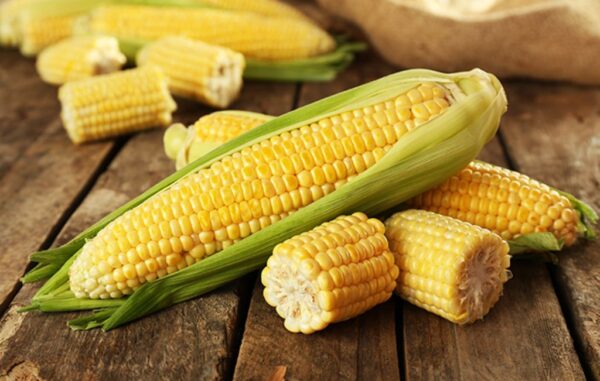 Corn in vacuum pack